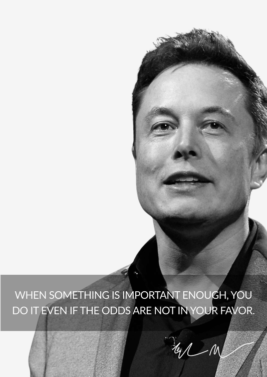 When It Matters, Do It - Elon Musk's Motivational Poster